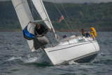 hot toddy 3199y whyw17 sun gjmc 5745